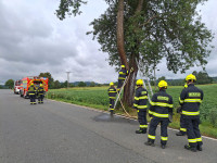 14_Požár, lesní porost - 17.7.2025 - Žďár