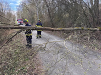 05_Technická pomoc, odstranění stromu - 5.4.2026 - Plánice 