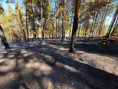 /album/fotogalerie-19-pozar-lesni-porost-13-8-2026-ujezdec/774281600-1517489243752125-4047252995421506621-n-jpg/